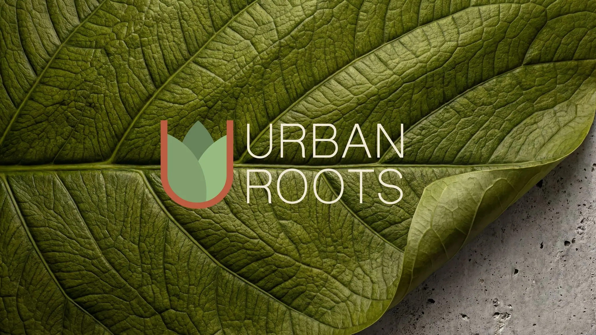 The Urban Roots logo over a leaf and raw concrete